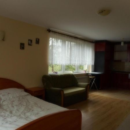 Przy Lesie Apartment Nowe Bagian luar foto