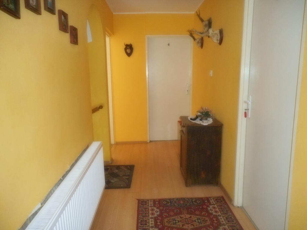 Przy Lesie Apartment Nowe Bagian luar foto