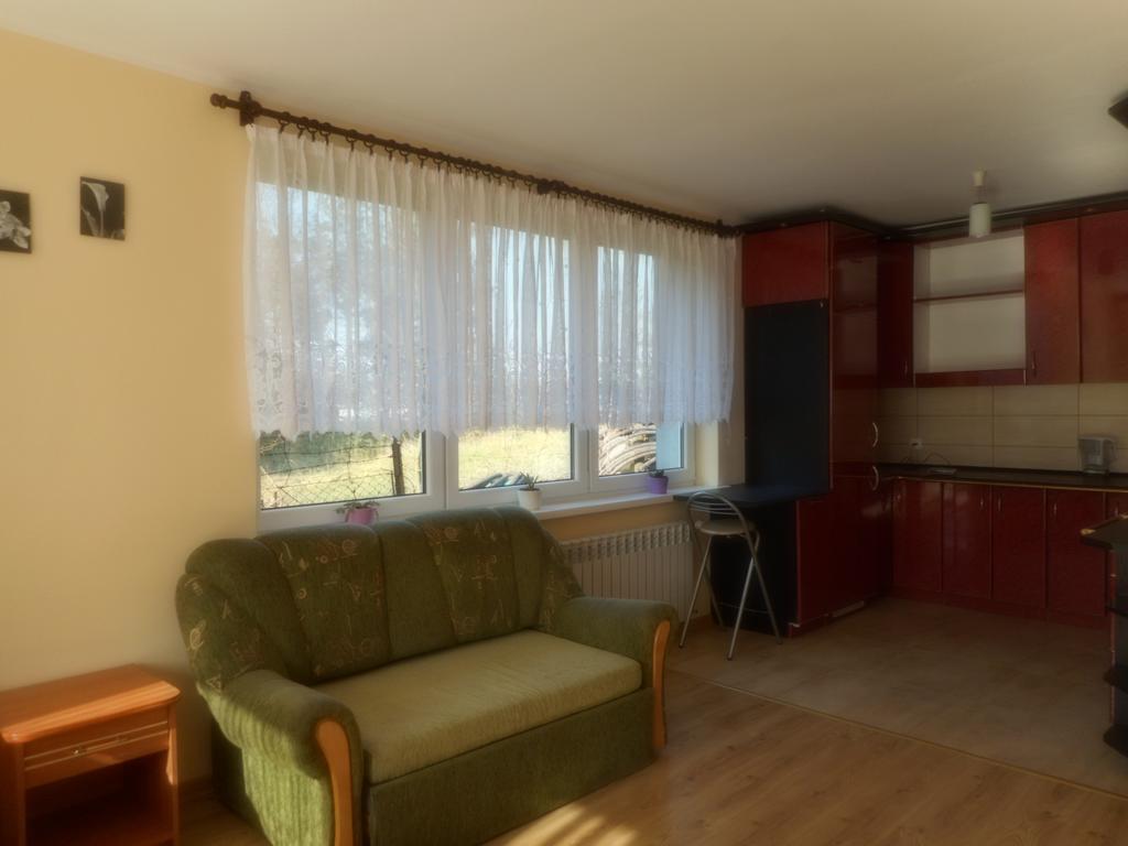 Przy Lesie Apartment Nowe Bagian luar foto