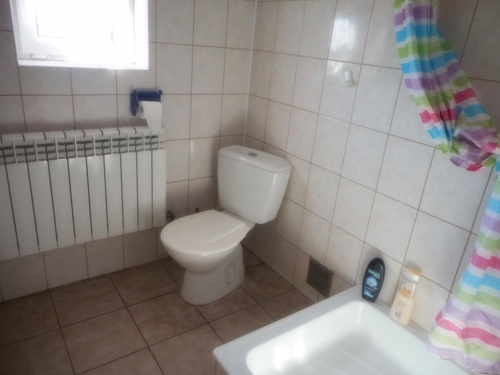 Przy Lesie Apartment Nowe Bagian luar foto